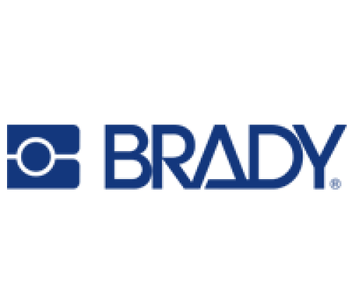 logo brady